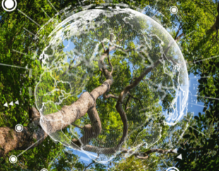 Greenleaf123_iStock_Earth Day eco concept with rainforest background_cover
