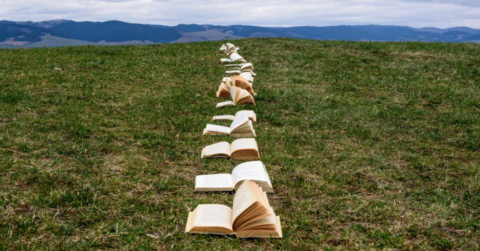 chemin de livres ouverts dans l'herbe en direction de l'horizon