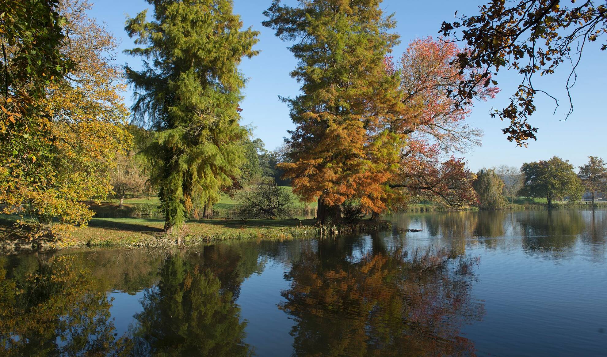 Un paysage paisible avec des arbres aux couleurs d'automne se reflétant dans un lac calme sous un ciel bleu clair. Les arbres verts et orange se trouvent au bord de l'eau, créant une atmosphère naturelle et sereine